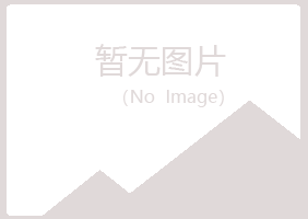 偃师盼夏咨询有限公司